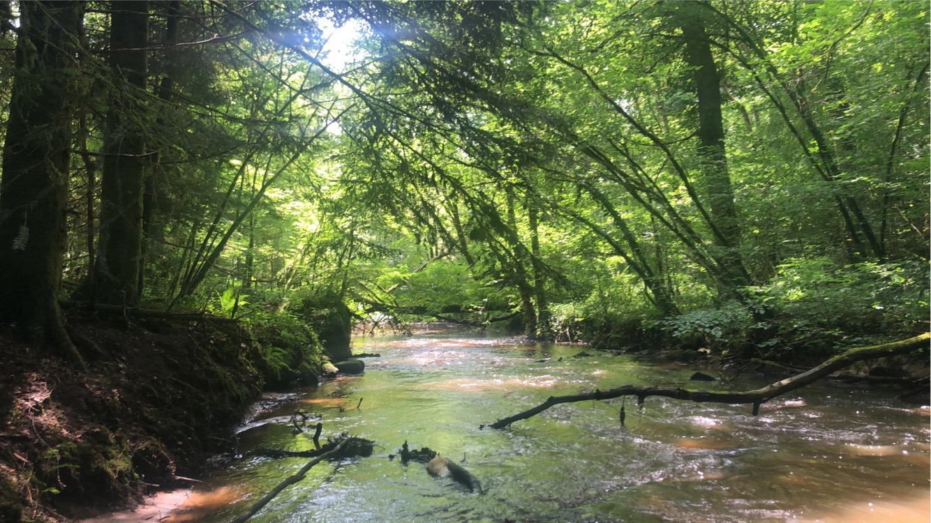 Photo du paradis